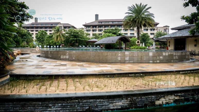 _1000874_wide1080_Wide1080mark_%EB%B0%94%EB%9E%8C.jpg?type=w773