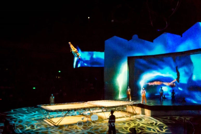 DSC05386_wide1080mark%EB%B0%94%EB%9E%8C.jpg?type=w773