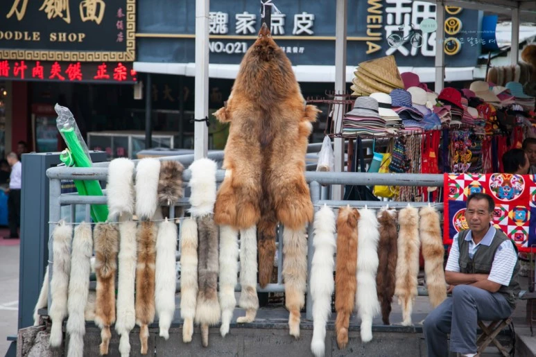 IMG_0186_Wide1080mark%EB%B0%94%EB%9E%8C.jpg?type=w773