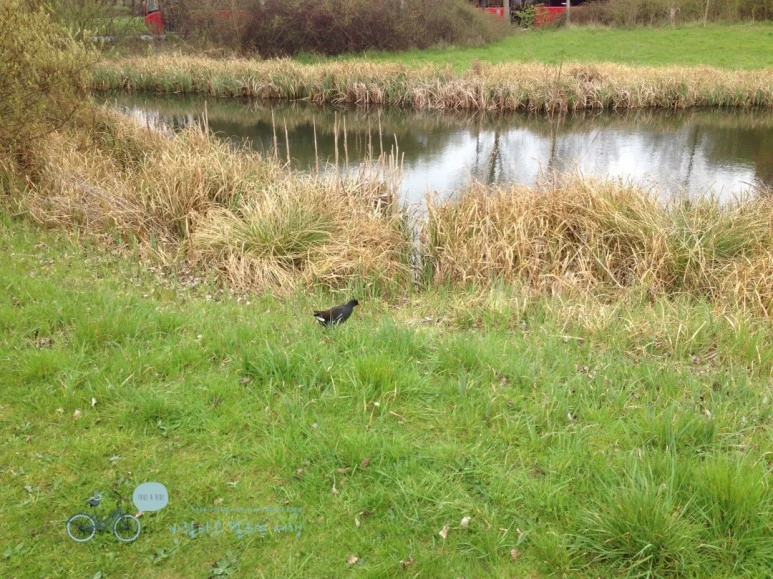 IMG_1765.jpg?type=w773