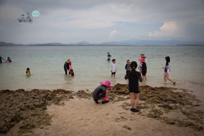 IMG_1715_Wide1080mark%EB%B0%94%EB%9E%8C%ED%83%80%EA%B3%A0.jpg?type=w773