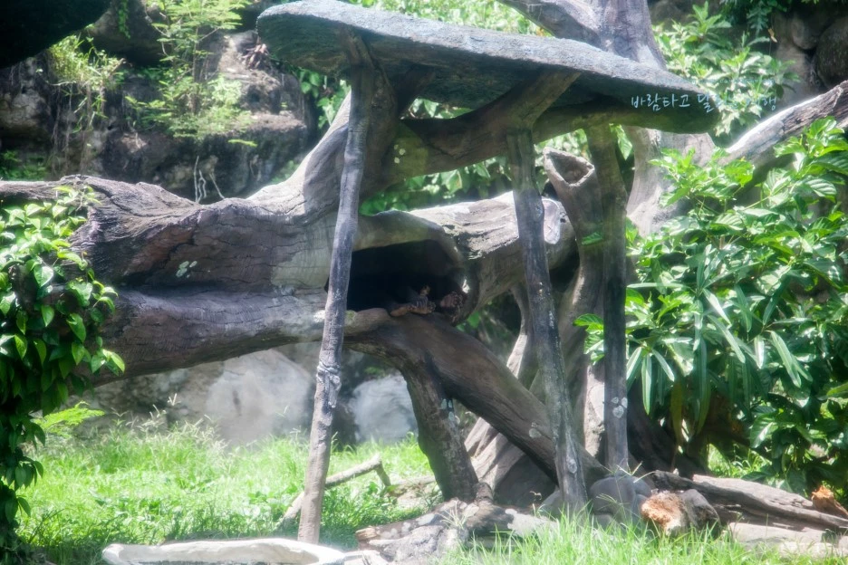 5D_IMG_2695_Short1200mark%EB%B0%94%EB%9E%8C.jpg?type=w1