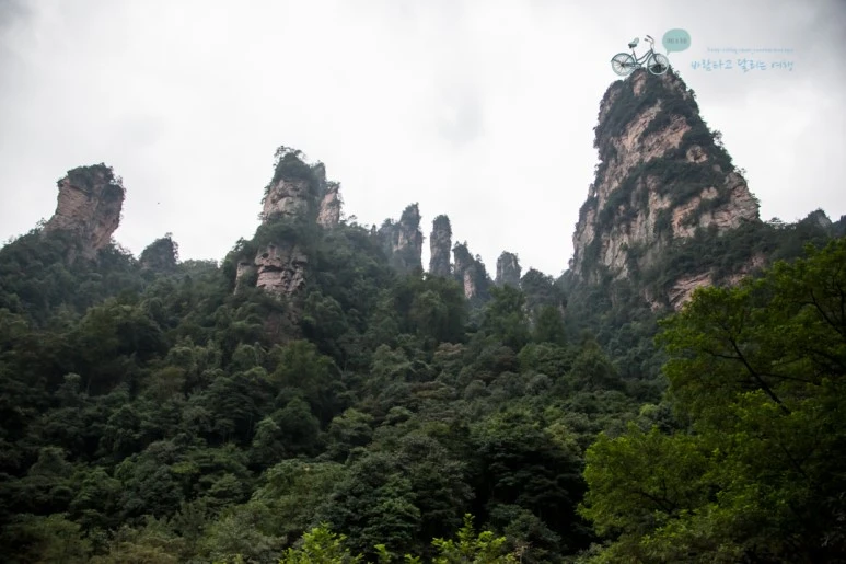 IMG_1078_Wide1080mark%EB%B0%94%EB%9E%8C.jpg?type=w773