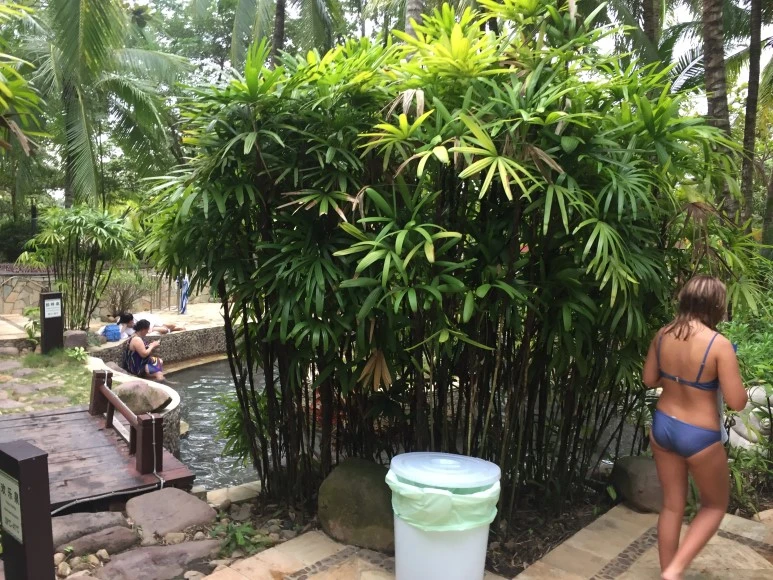 WechatIMG139.jpeg?type=w773