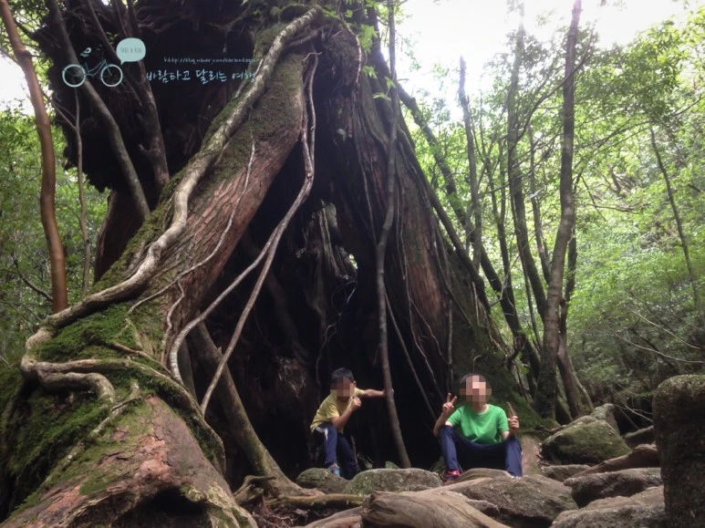 image_5045010121487121756637.jpg?type=w773