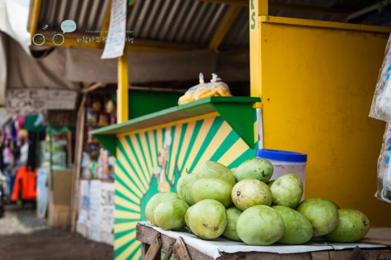 IMG_1608_Wide1080mark%EB%B0%94%EB%9E%8C%ED%83%80%EA%B3%A0.jpg?type=w773