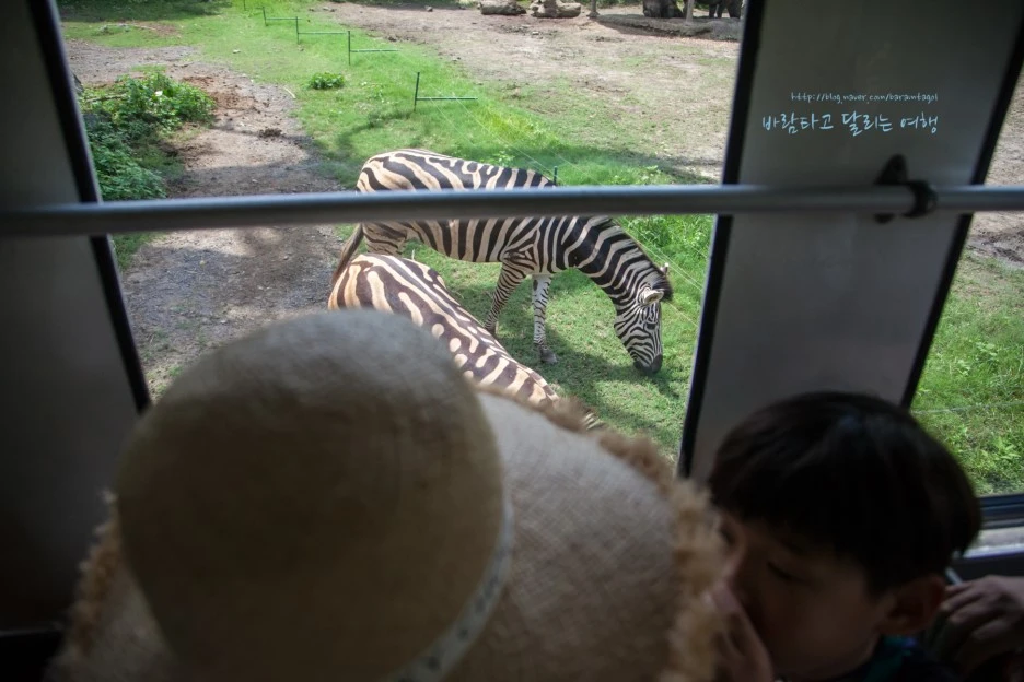 5D_IMG_2740_Short1200mark%EB%B0%94%EB%9E%8C.jpg?type=w1