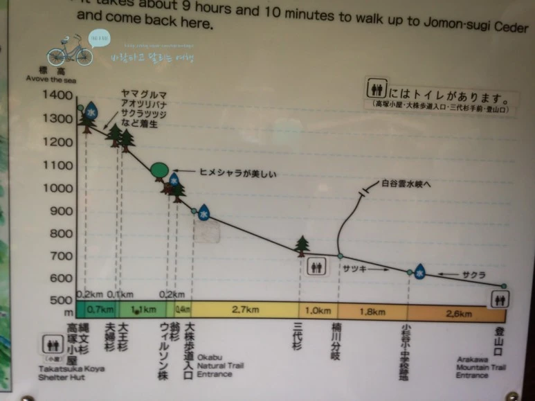 IMG_1241_wide1080.jpg?type=w773