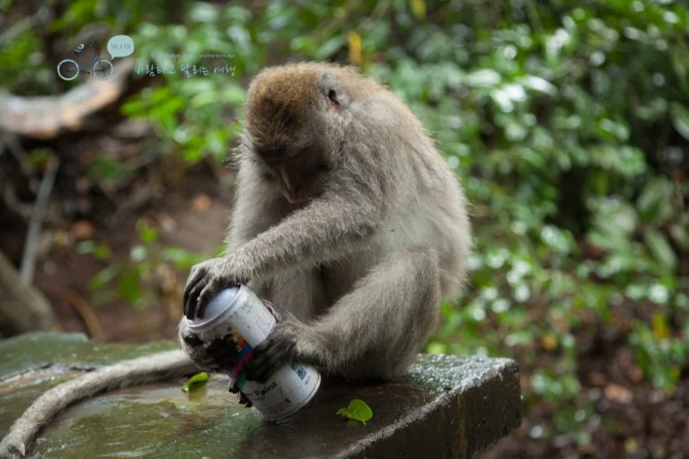 IMG_0249_Wide1080mark%EB%B0%94%EB%9E%8C%ED%83%80%EA%B3%A0-2.jpg?type=w773