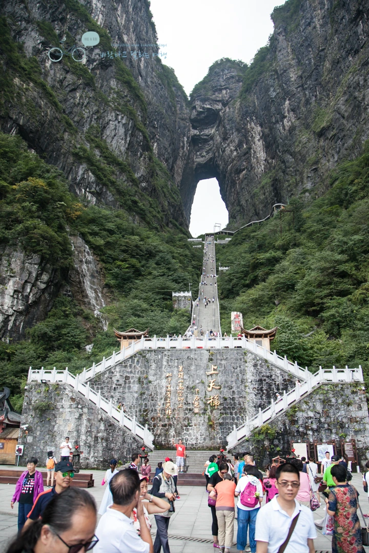 IMG_0517_Wide1080mark%EB%B0%94%EB%9E%8C.jpg?type=w773