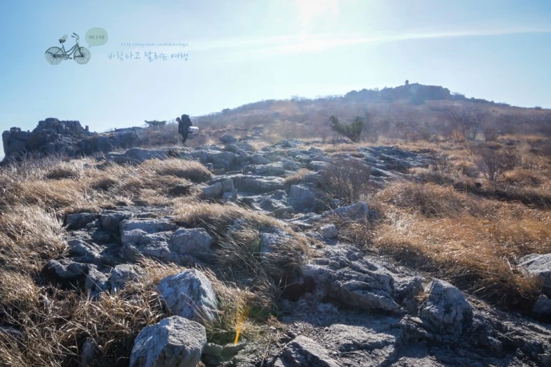 DSC04601_wide1080mark.jpg?type=w773