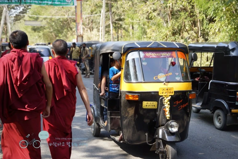 DSC00019.jpg?type=w773