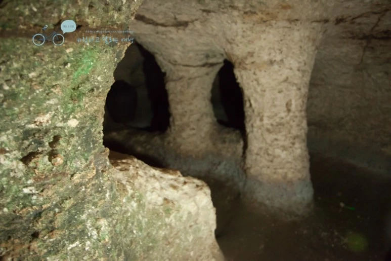 IMG_0142_Wide1080mark%EB%B0%94%EB%9E%8C%ED%83%80%EA%B3%A0-2.jpg?type=w773