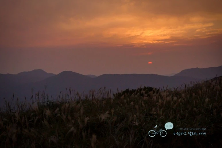 DSC04382_wide1080mark.jpg?type=w773