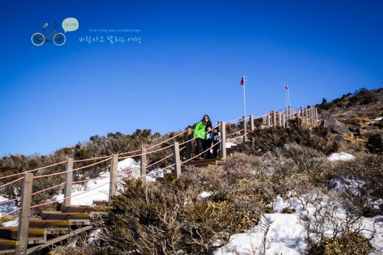 DSC00096_3.jpg?type=w773