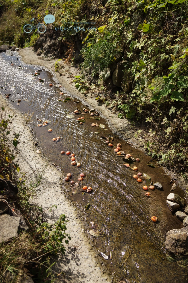 DSC04918_wide1080mark.jpg?type=w773