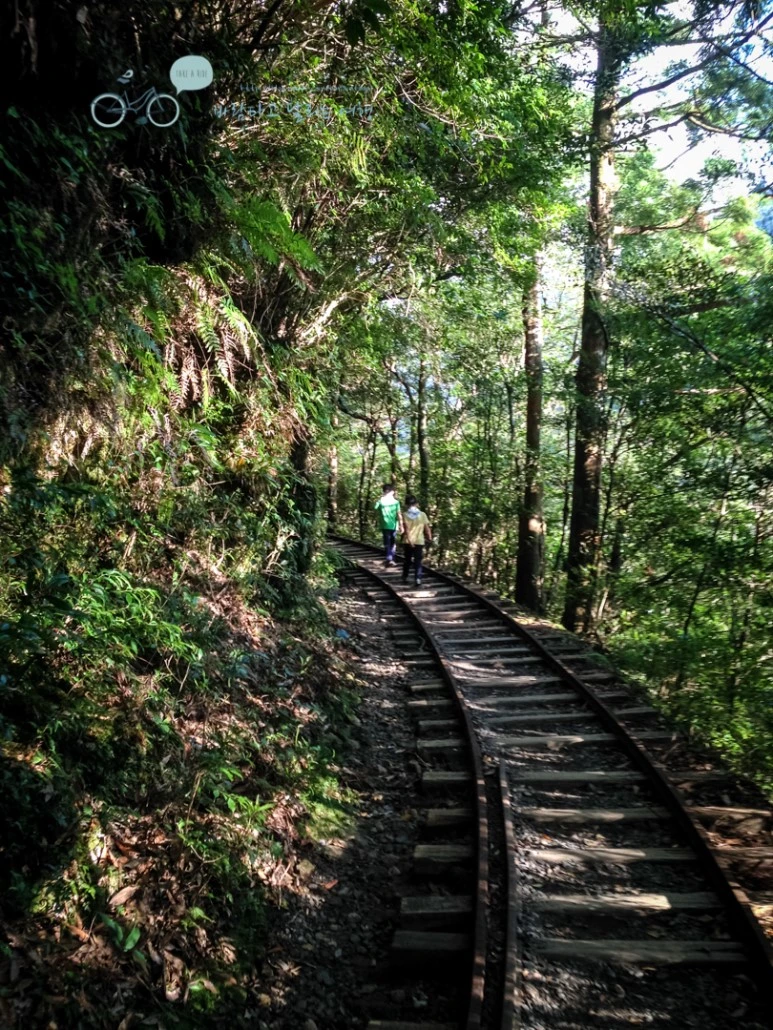 IMG_7924_wide1080mark.jpg?type=w773