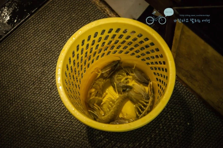 IMG_0917_wide1080%EB%B0%94%EB%9E%8Cmark.jpg?type=w773