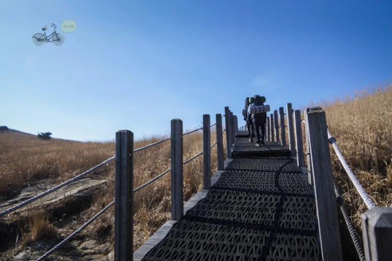 DSC04549_wide1080mark.jpg?type=w773