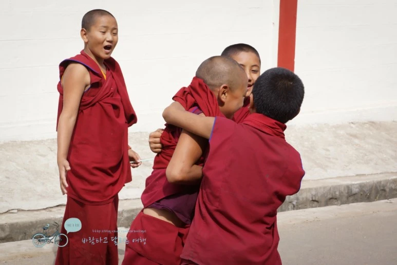 DSC00325.jpg?type=w773