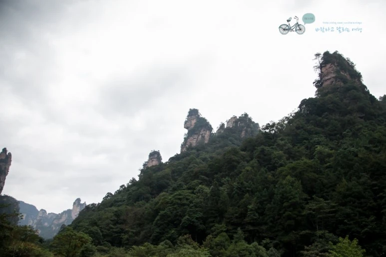 IMG_1058_Wide1080mark%EB%B0%94%EB%9E%8C.jpg?type=w773