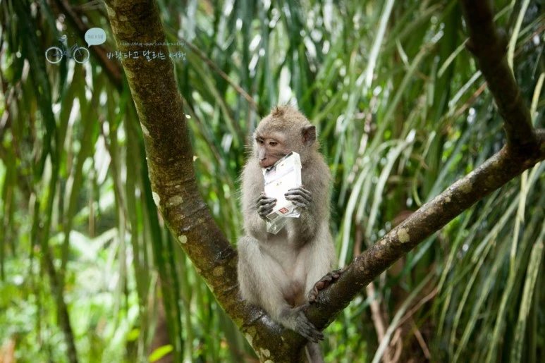 IMG_0156_Wide1080mark%EB%B0%94%EB%9E%8C%ED%83%80%EA%B3%A0-3.jpg?type=w773