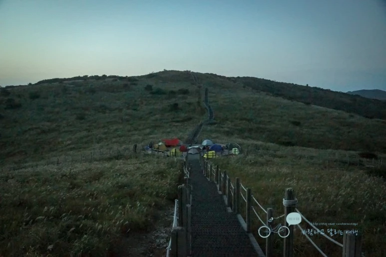 DSC04433_wide1080mark.jpg?type=w773