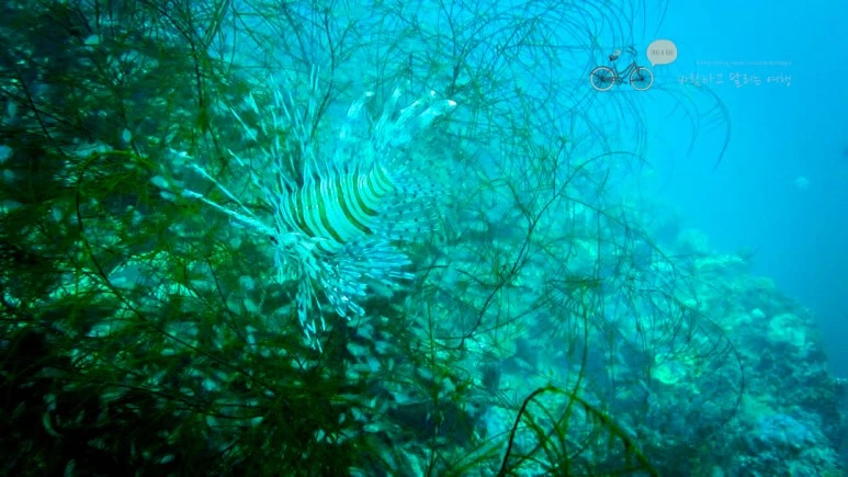 IMG_05_Wide1080mark%EB%B0%94%EB%9E%8C%ED%83%80%EA%B3%A0.jpg?type=w773