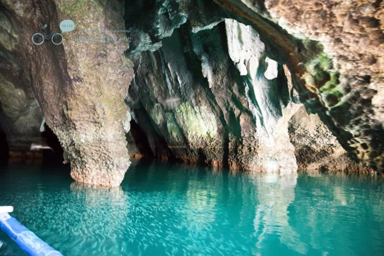 IMG_2126_Wide1080mark%EB%B0%94%EB%9E%8C%ED%83%80%EA%B3%A0.jpg?type=w773