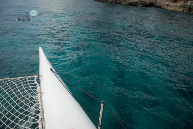 IMG_0073_Wide1080mark%EB%B0%94%EB%9E%8C%ED%83%80%EA%B3%A0-2.jpg?type=w773