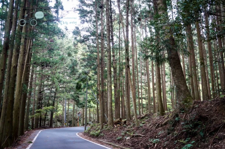 DSC08042_wide1080mark.jpg?type=w773