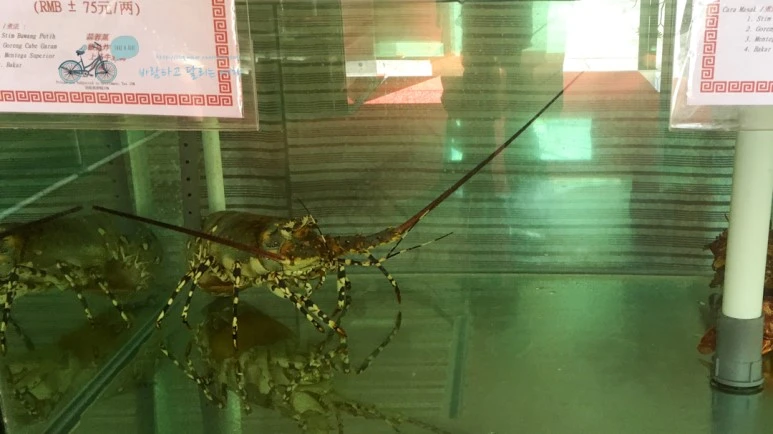 IMG_0946_wide1080mark%EB%B0%94%EB%9E%8C%ED%83%80%EA%B3%A0.jpg?type=w773