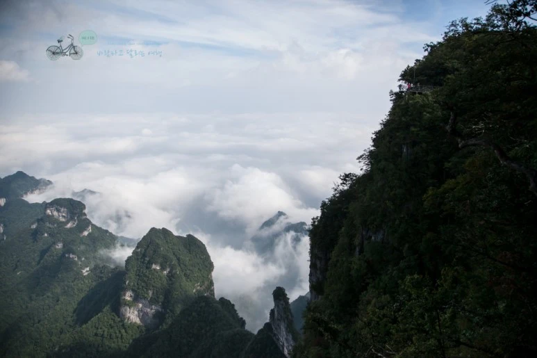 IMG_0131_Wide1080mark%EB%B0%94%EB%9E%8C.jpg?type=w773