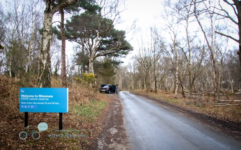 IMG_3082.jpg?type=w773