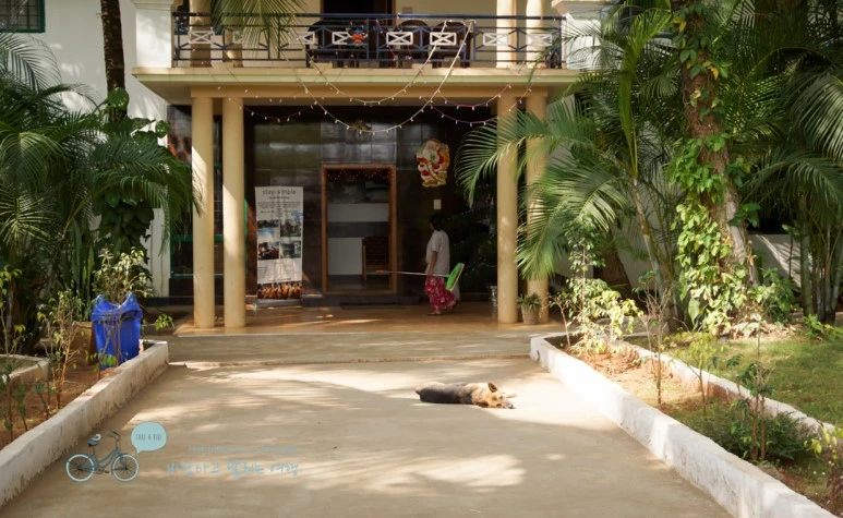 DSC00023.jpg?type=w773