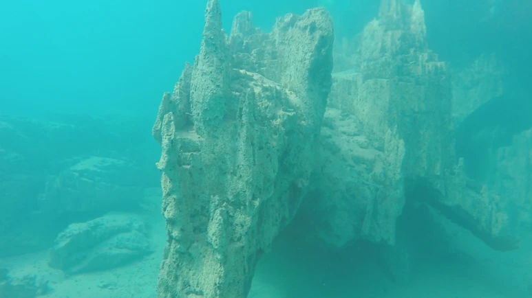 %EC%8A%A4%ED%81%AC%EB%A6%B0%EC%83%B7_2017-07-04_10.10.34.png?type=w773