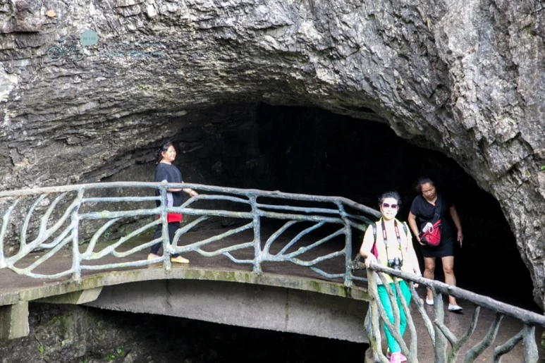 IMG_0195_Wide1080mark%EB%B0%94%EB%9E%8C.jpg?type=w773