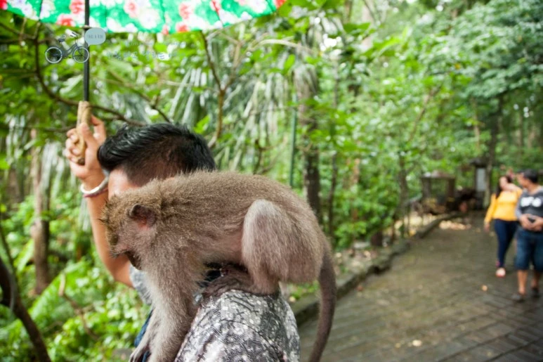 IMG_0153_Wide1080mark%EB%B0%94%EB%9E%8C%ED%83%80%EA%B3%A0-2.jpg?type=w773