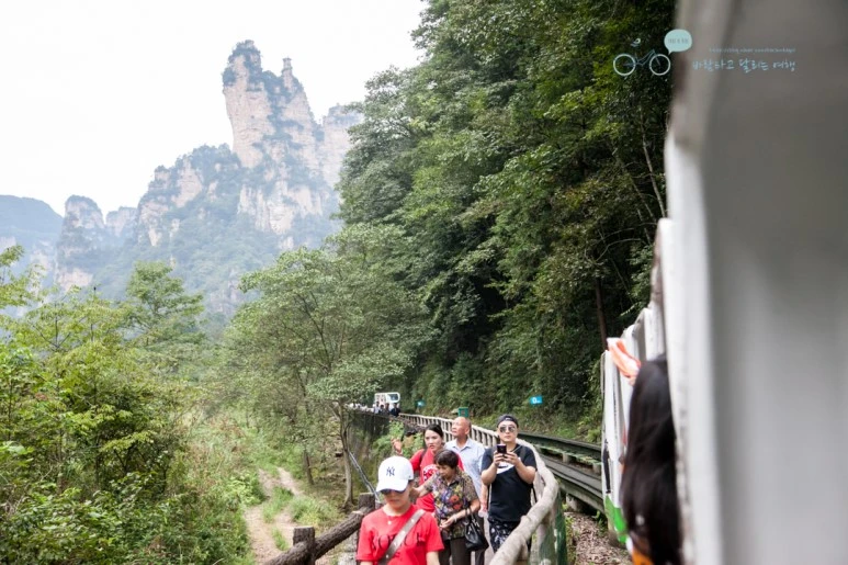 IMG_1086_Wide1080mark%EB%B0%94%EB%9E%8C.jpg?type=w773