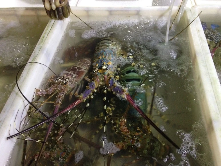 IMG_2721.JPG?type=w773