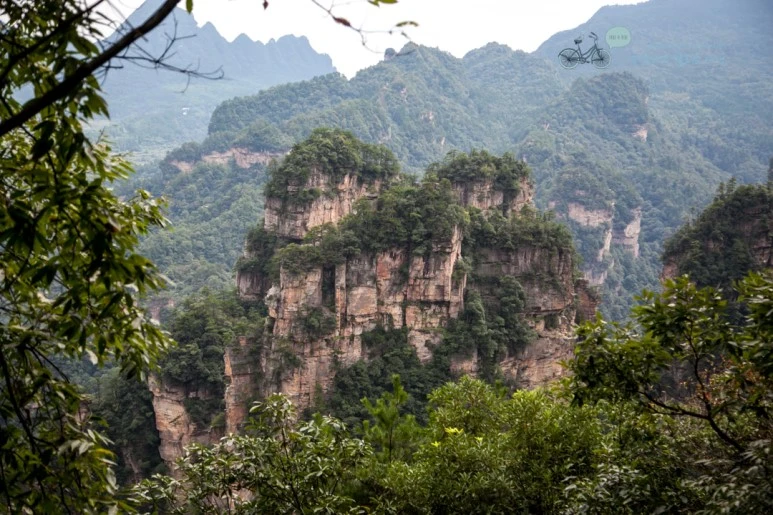 IMG_1326_Wide1080mark%EB%B0%94%EB%9E%8C.jpg?type=w773