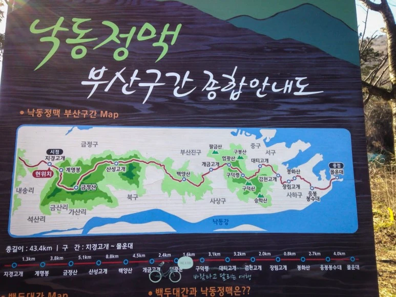 IMG_1411-_Wide1080mark%EB%B0%94%EB%9E%8C.jpg?type=w773