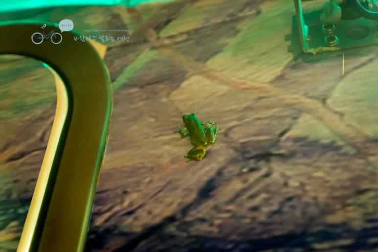 DSC03744_wide1080mark.jpg?type=w773