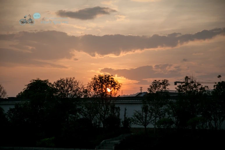 IMG_1793_Wide1080mark%EC%B0%A8%EC%8A%A4.jpg?type=w773