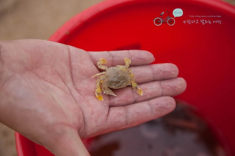 IMG_1160_wide1080%EB%B0%94%EB%9E%8Cmark.jpg?type=w773