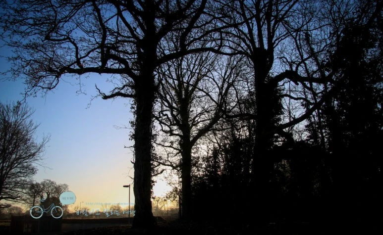 IMG_3453.jpg?type=w773