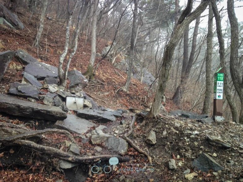 IMG_1895-_Wide1080mark.jpg?type=w773