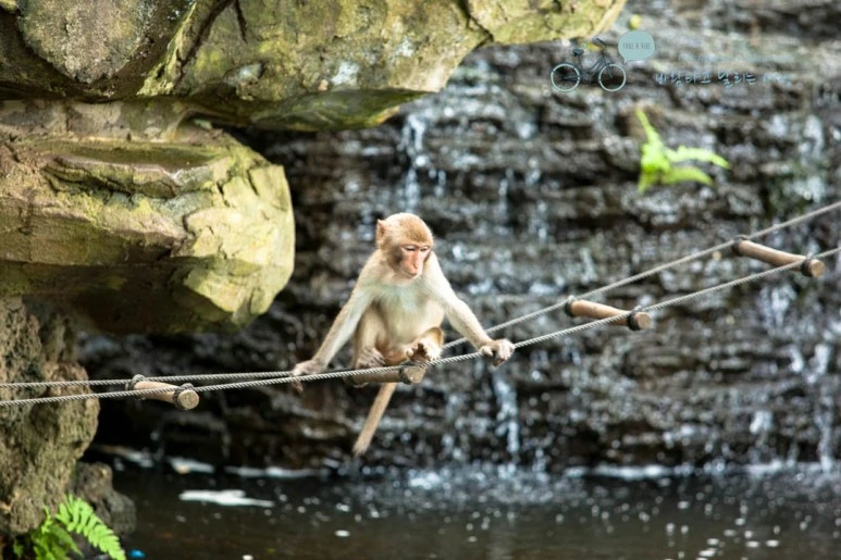 IMG_1507_wide1080%EB%B0%94%EB%9E%8Cmark.jpg?type=w773