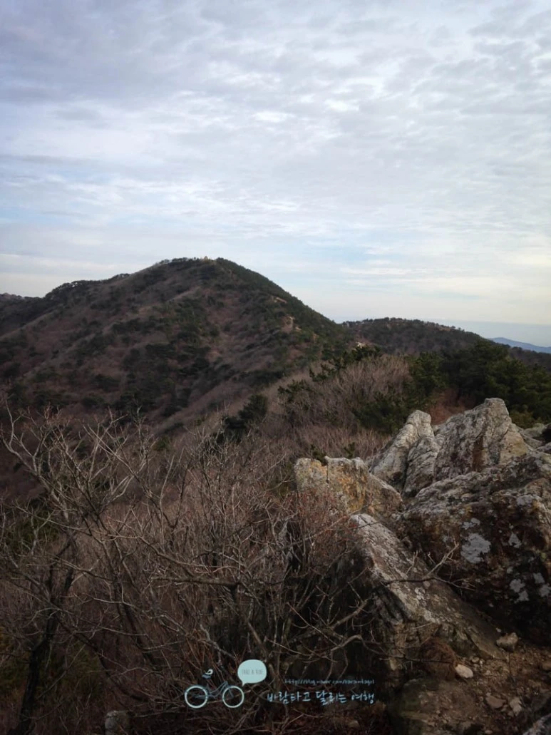 IMG_1285-_Wide1080mark%EB%B0%94%EB%9E%8C.jpg?type=w773