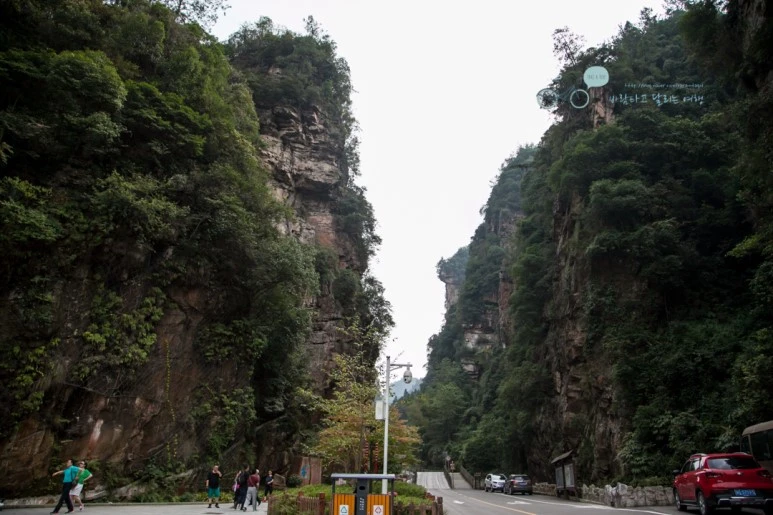 IMG_1435_Wide1080mark%EB%B0%94%EB%9E%8C.jpg?type=w773